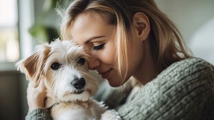 女人抱的宠物犬