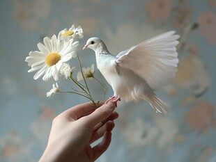手托着白鸽