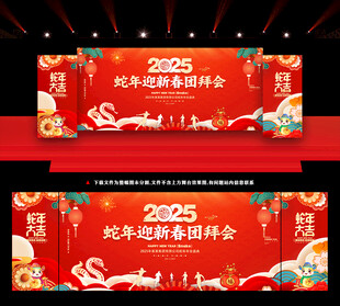 2025年春节晚会