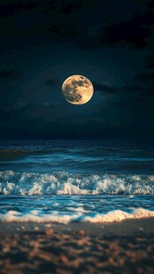 大海大地月光自然