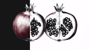 逼真的水果艺术