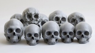 头颅装饰品摆放骷髅