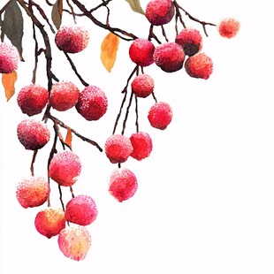 无框画荔枝