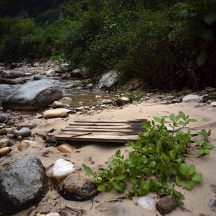 秦岭小河