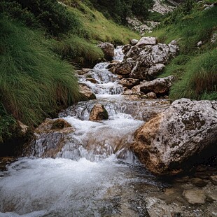 高山小溪溪流潺潺