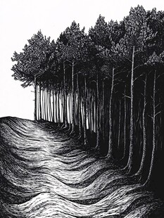松树木版画