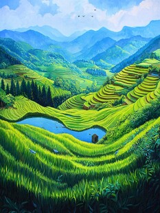 水稻梯田插画