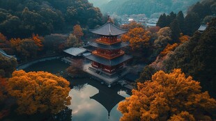 航拍黛色参天亭