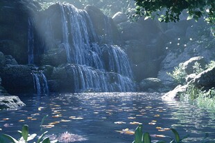 瀑布鱼自然风景