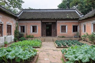 闽南故居庭院