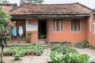 民宿乡村农村小院