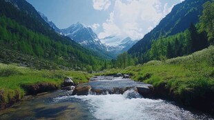 全景大图山涧溪流