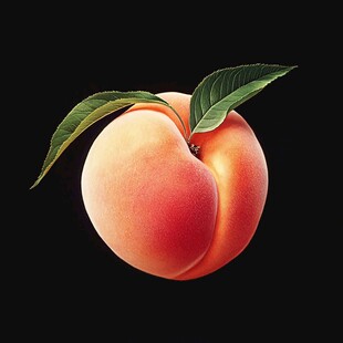 水蜜桃手绘