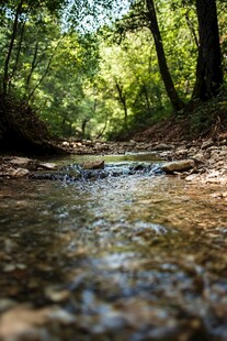 林中小溪山林小溪