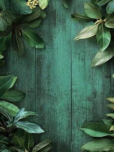 木纹绿植装饰