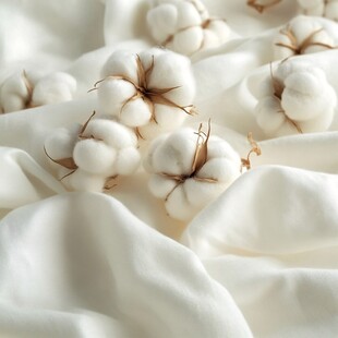 棉花艺术品