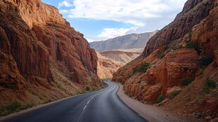 龙羊峡路