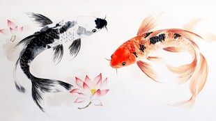 鲤鱼3d画