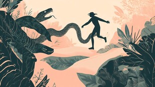 苏花蛇菰包装插画