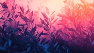 紫红树叶丛背景