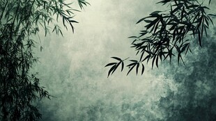 高清竹影背景