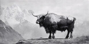 水墨牦牛
