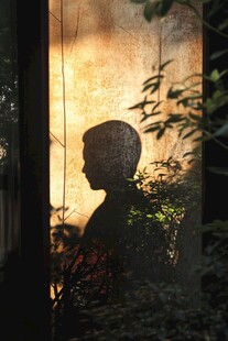 窗影人影