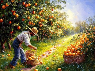 果园劳动场景