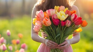 盛开郁金香与美女