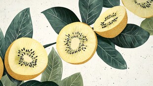 手绘猕猴桃壁纸