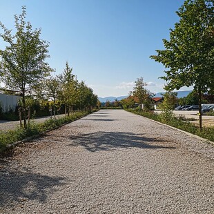 金秋秋天道路小路