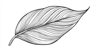 手绘叶脉