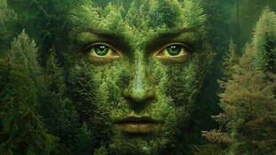 创意森林系背景