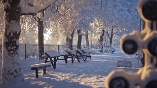 雪地桌椅