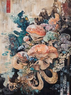 蘑菇与艺术