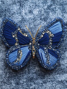 蓝色潮牌高级蝴蝶