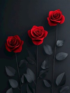 3d玫瑰花