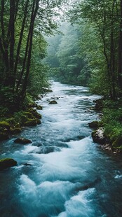 大自然森林溪水