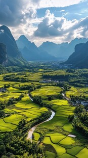 群山风景金色稻田