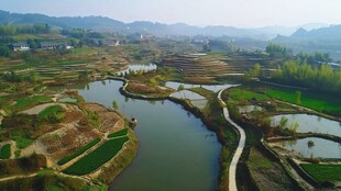 美丽家乡鸟瞰田园