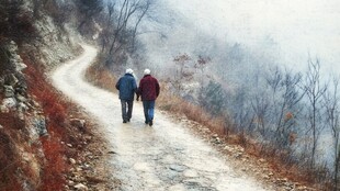 重阳登山