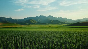 超宽幅田园景色