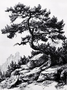 黑白迎客松