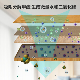 甲醛分解图