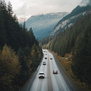 山林树木道路交通