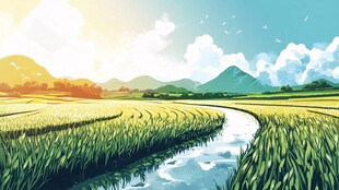 稻田风景插画