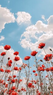 仰望蓝天白云鲜花