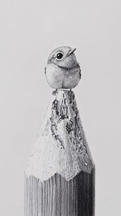 钢笔画小鸟