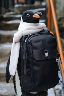 背着书包的动物