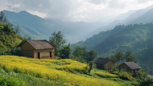 乡村风景壁纸